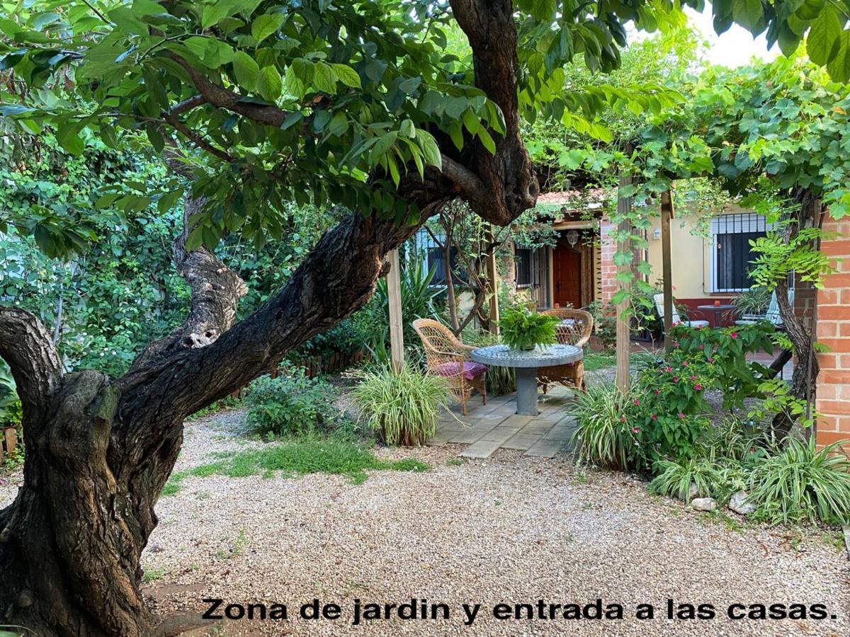 La Casa Rural De Carlos Playa de Gandia Екстер'єр фото